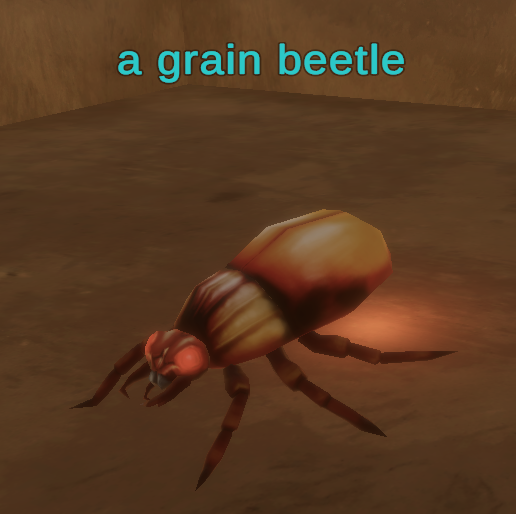 a grain beetle