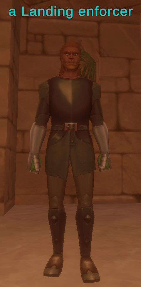 a Landing enforcer