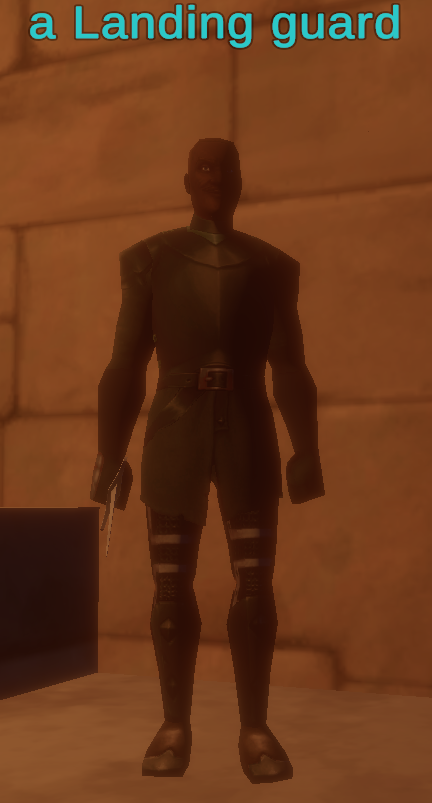 a Landing guard