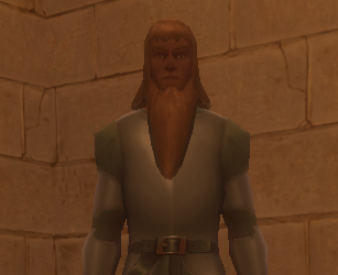 a landing lieutenant