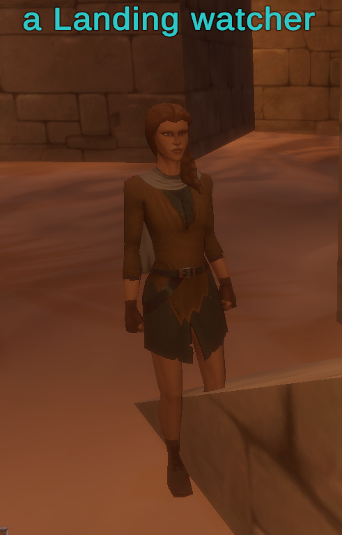 a Landing watcher