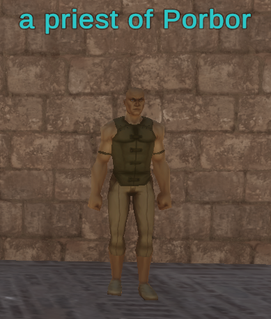 A priest of Porbor