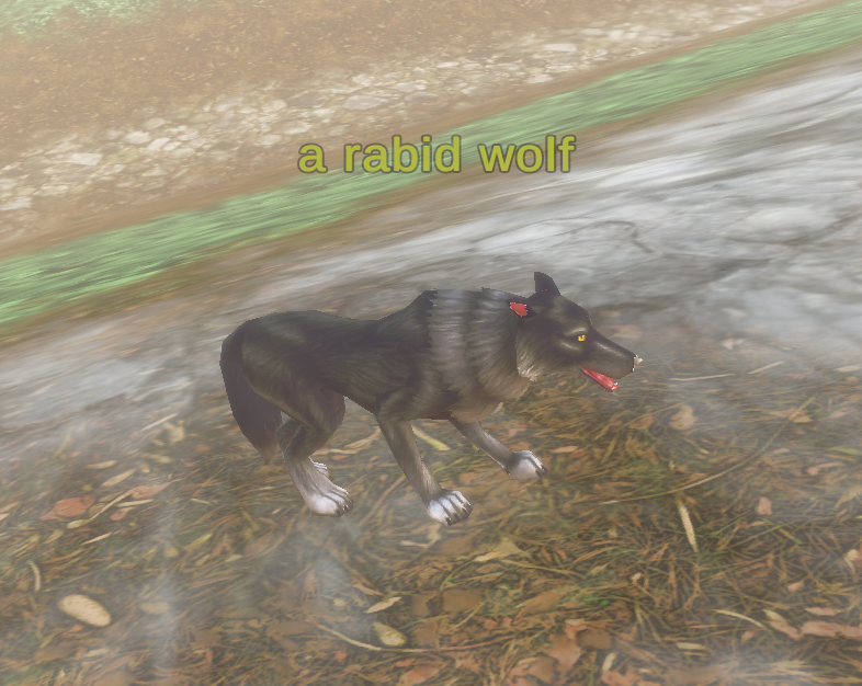 a rabid wolf