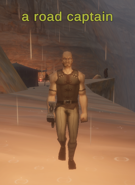 a road captain