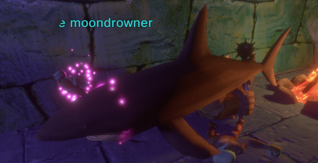 a sanctum shark