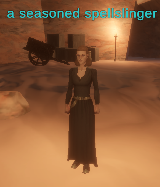 a seasoned spellslinger
