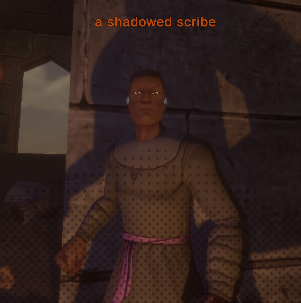 a shadowed scribe