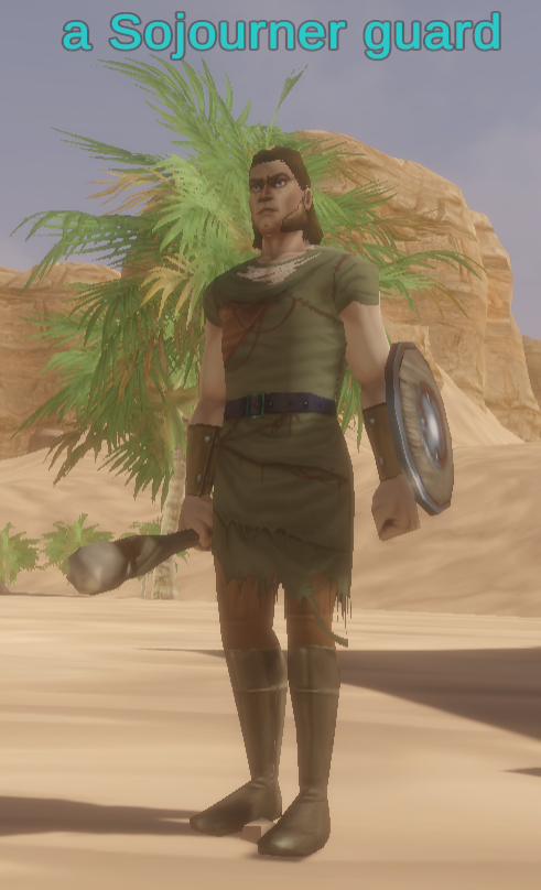 A Sojourner guard