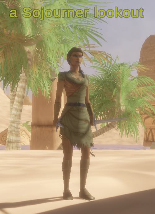 A Sojourner lookout