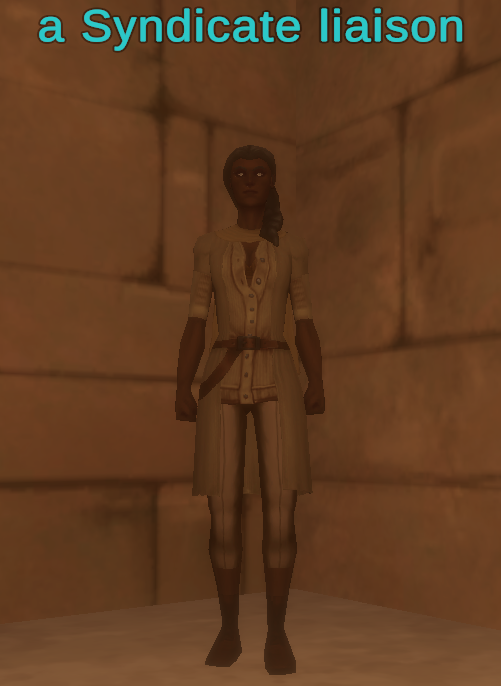 a Syndicate liaison
