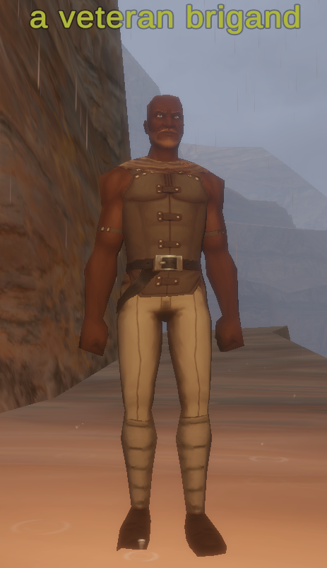 a veteran brigand