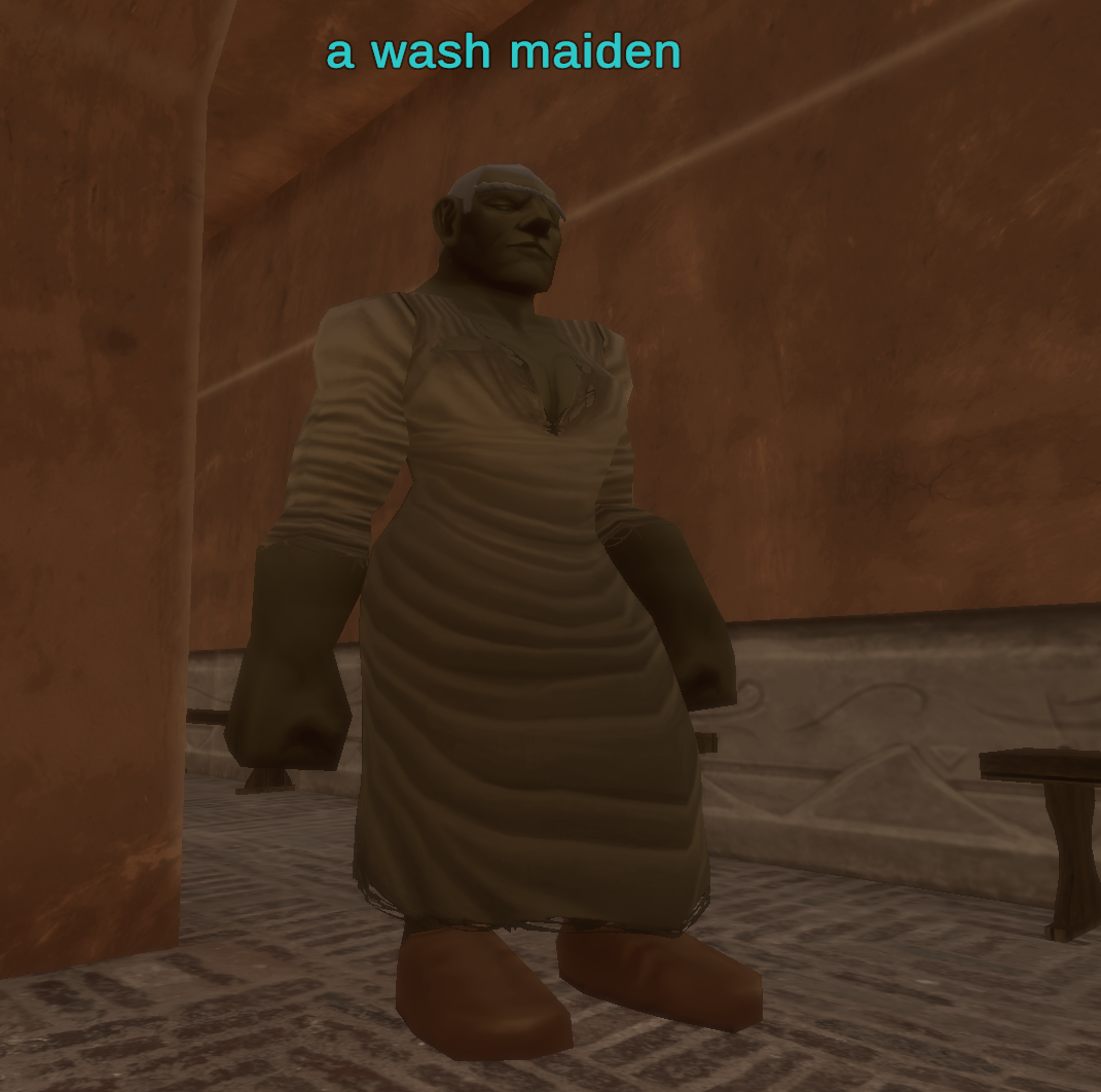 a wash maiden