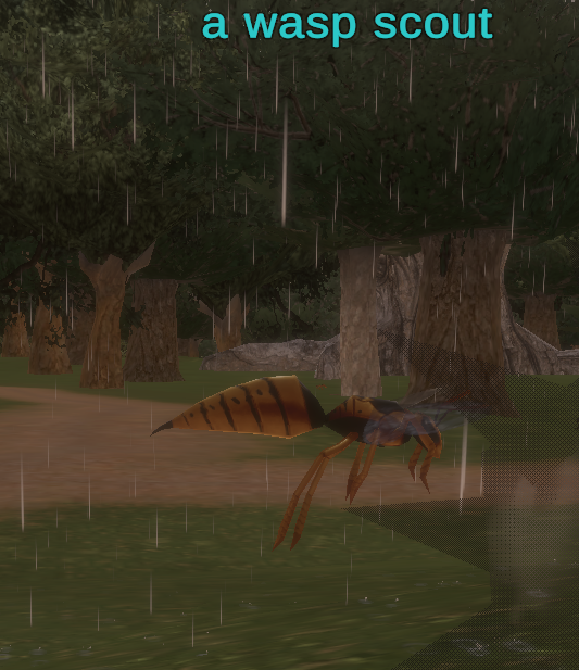 a wasp scout