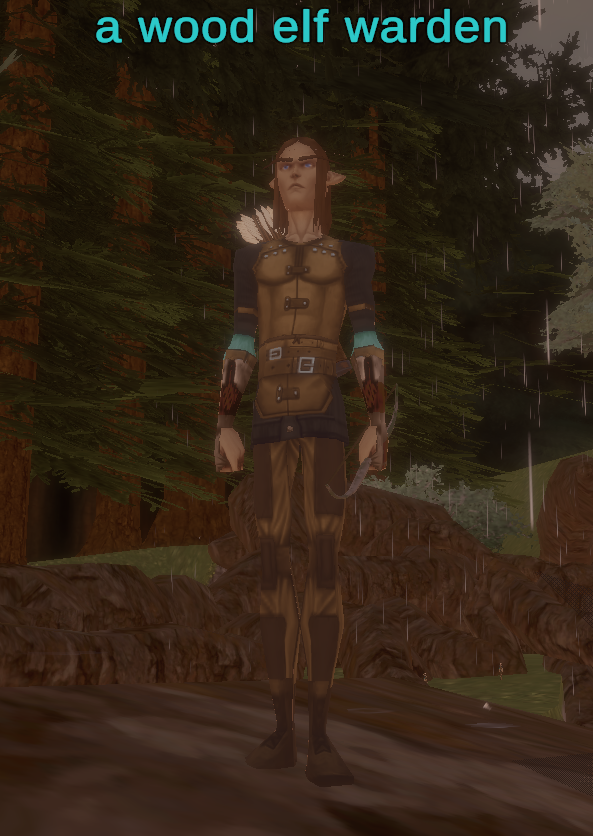 a wood elf warden