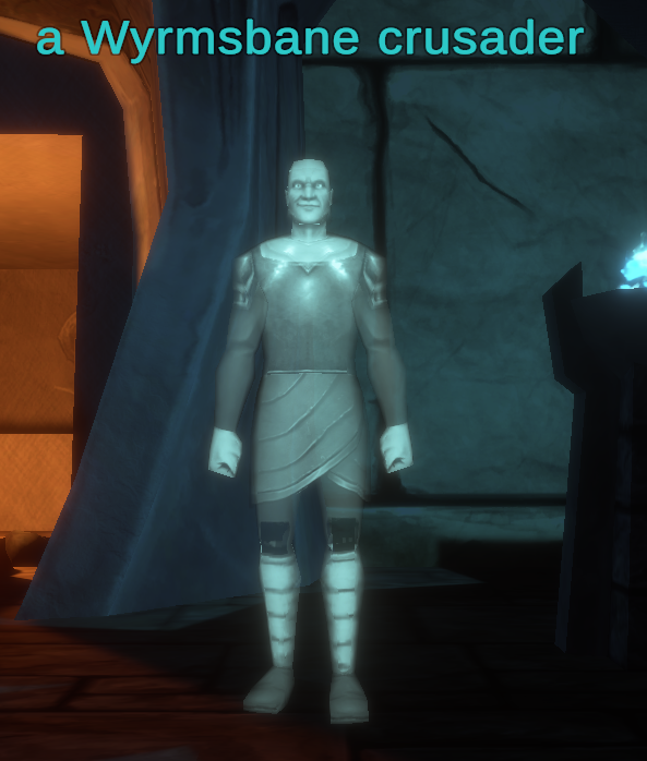 a Wyrmsbane crusader