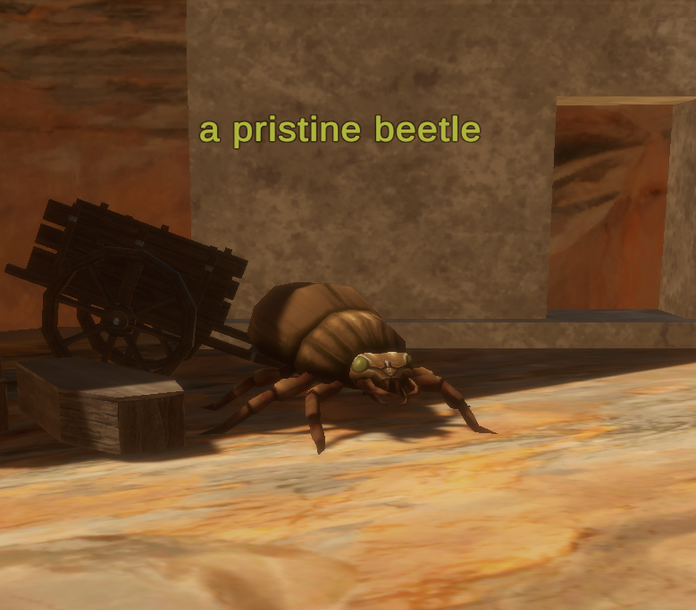 A pristine beetle