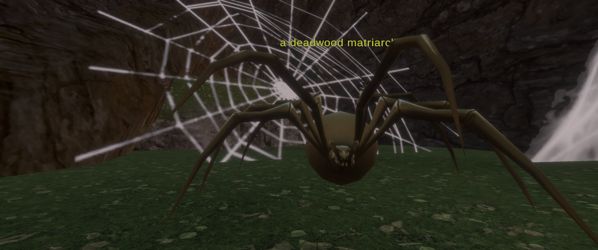 a deadwood matriarch
