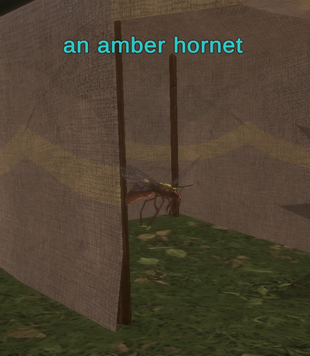 an amber hornet