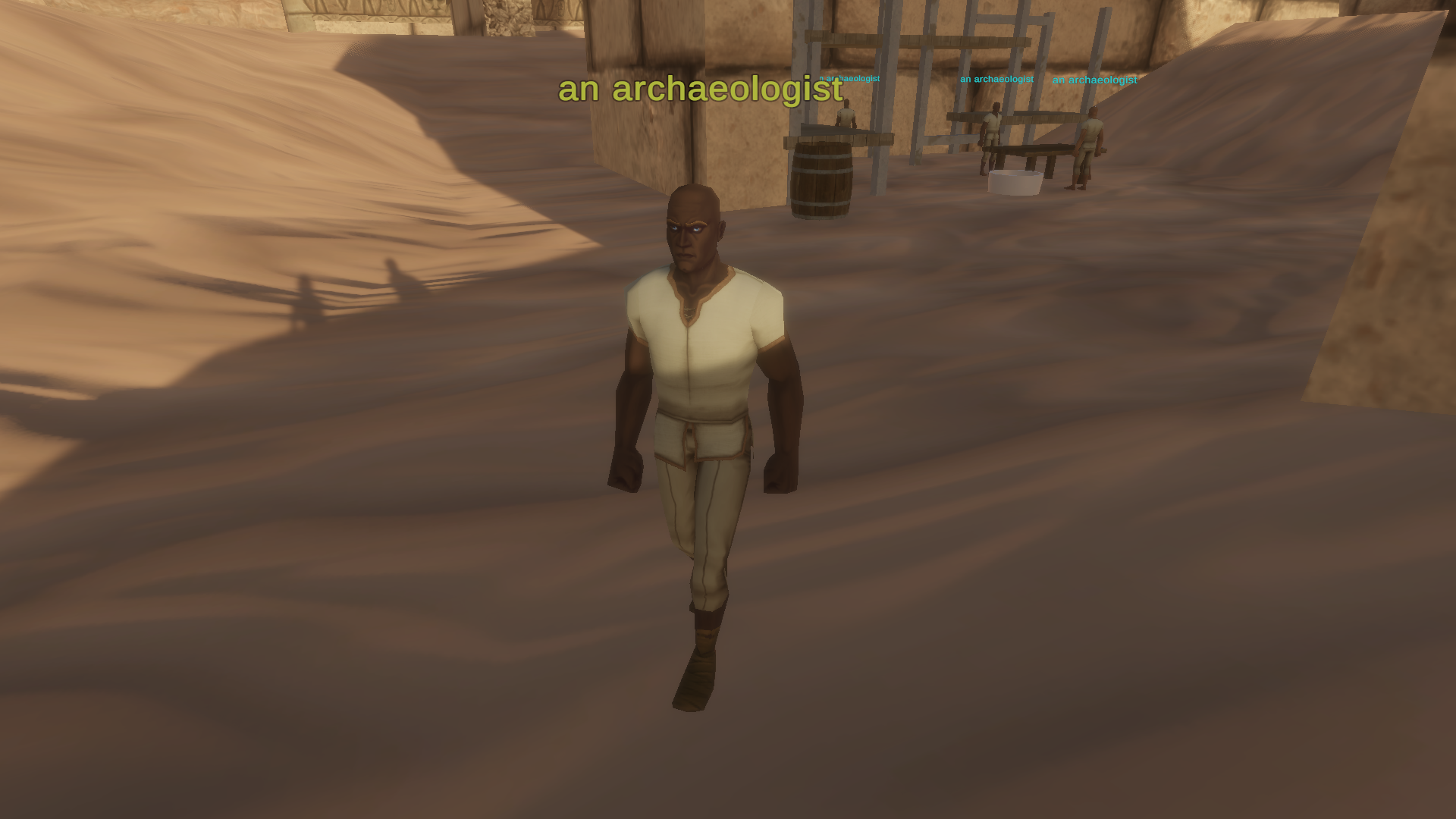an archaeologist