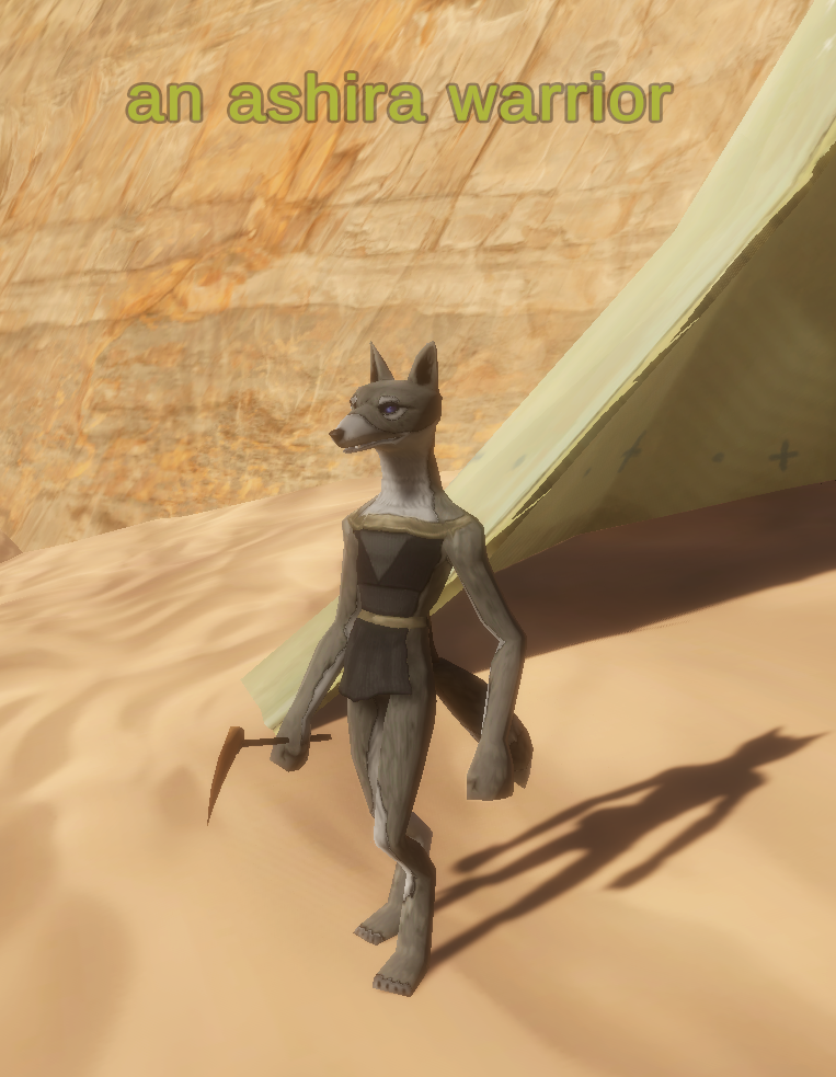 an ashira warrior