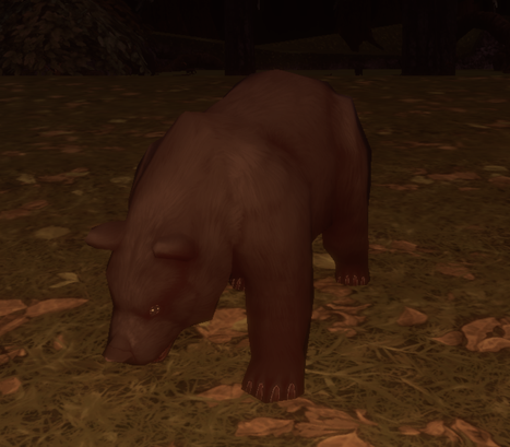 an aggressive black bear