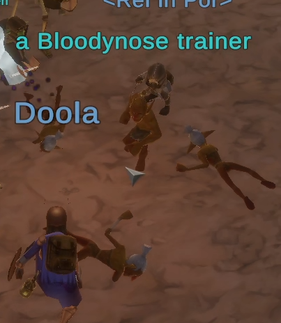 a Bloodynose trainer