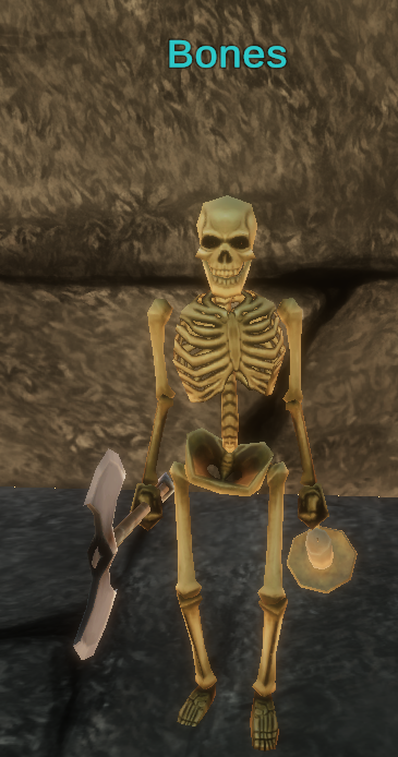 Bones