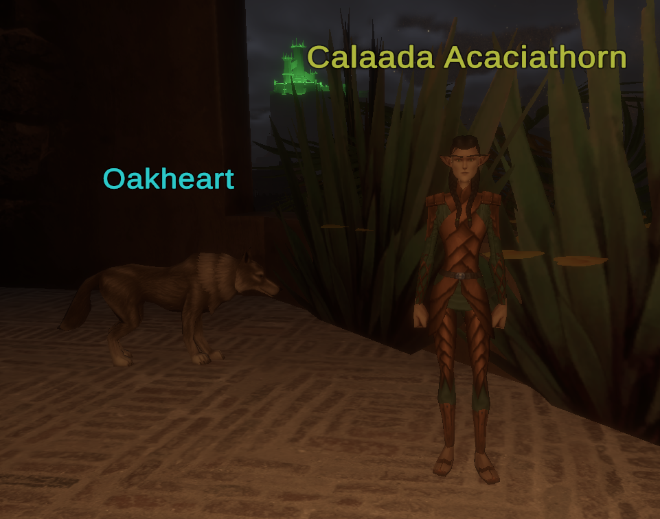 Calaada Acaciathorn