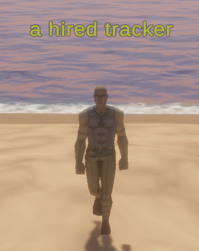 a hired tracker