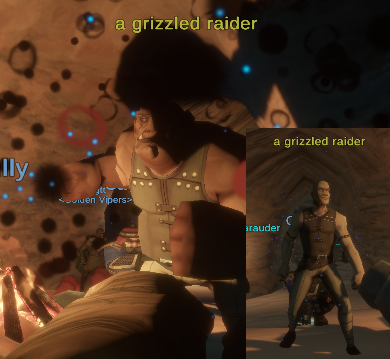 a grizzled raider