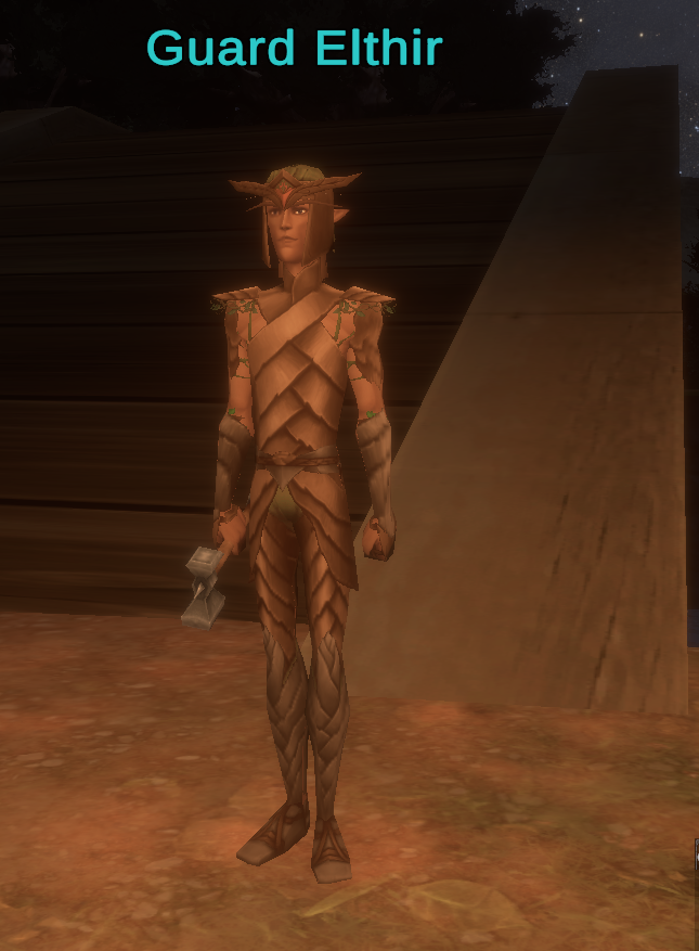 Guard Elthir