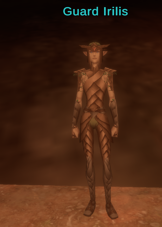 Guard Irilis