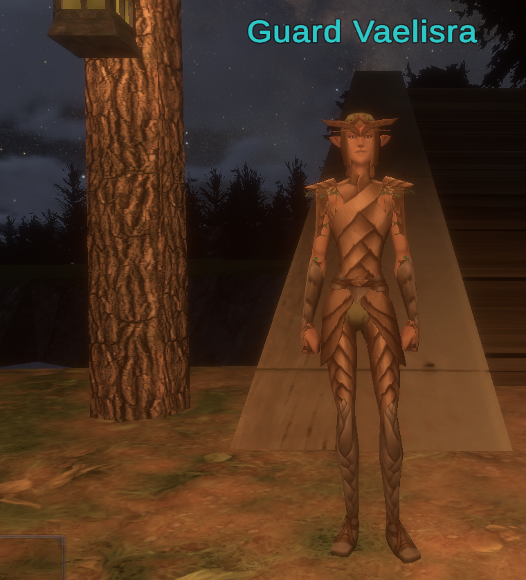 Guard Vaelisra