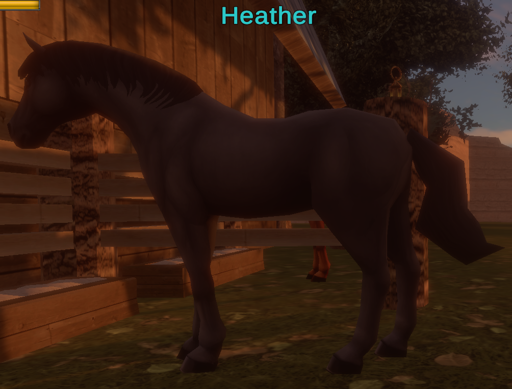 Heather