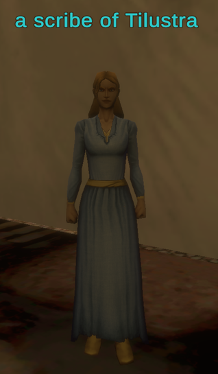 a scribe of Tilustra