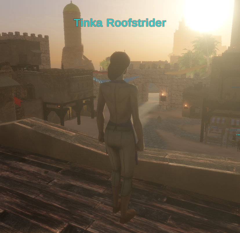 Tinka Roofstrider