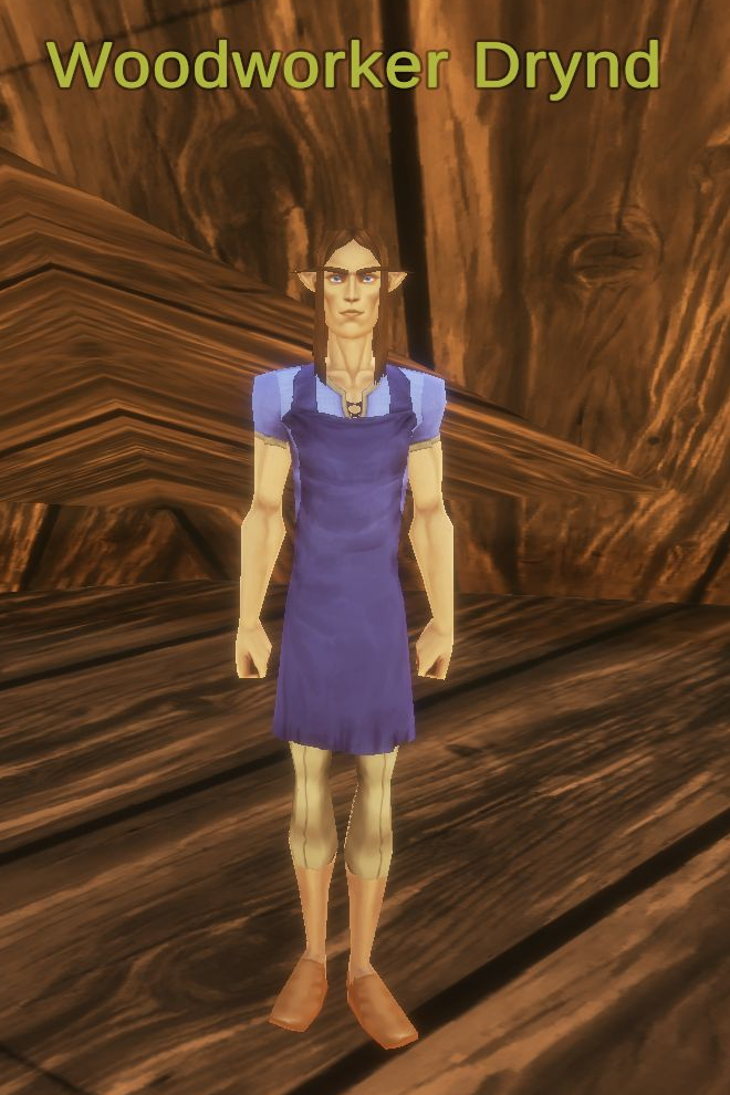 Woodworker Drynd, with his complete overhead name visible