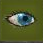 Hide ability icon
