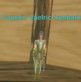 Captain Vaelric Ironbark
