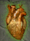 Wolf Heart