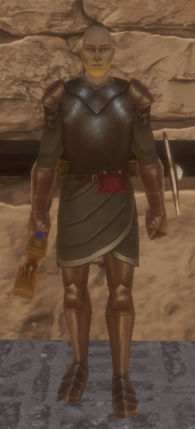 In-game appearance of Penitent Knight's Tunic