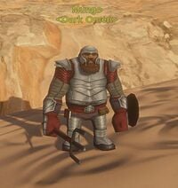 In-game appearance of Wyrmsbane Chain Tunic