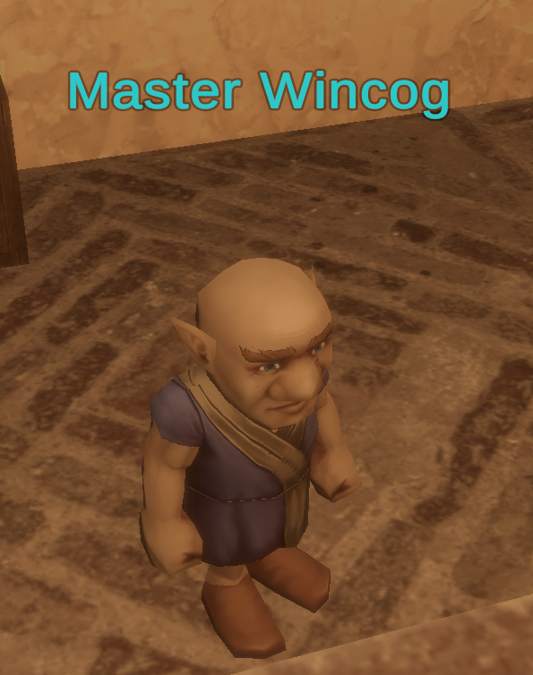 Master Wincog inside his Curious Goods shop