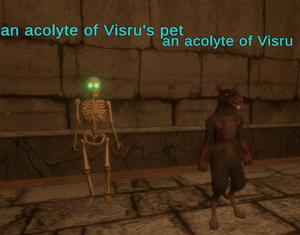 an acolyte of Visru