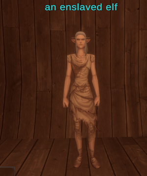 an enslaved elf