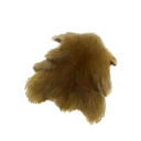 Medium Quality Jackal Pelt