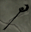 Obsidian Crystal Staff