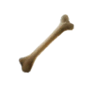 Pale Dragonbone Splinter