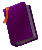 Spellbound Tome of Shielding