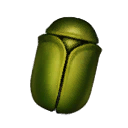 Amari